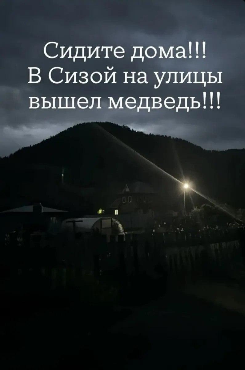 Медведь вышел на улицы Сизой (Шушенский район). Хищник полез в огороды. «На...