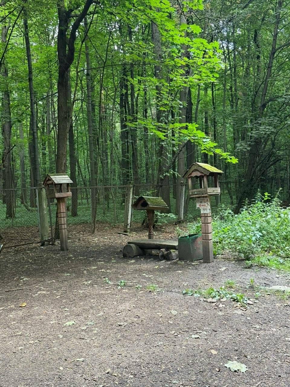Кормушку для птиц сломали ради розжига в Тимирязевском лесопарке Компания...