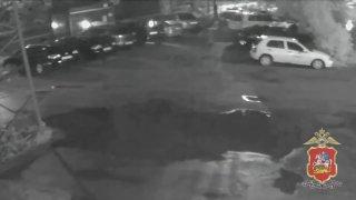 Житель Подмосковья сжег 3 чужих автомобиля, чтобы проверить как работают экстренные службы.