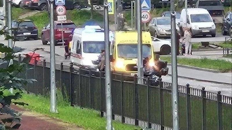 В Невском районе американский булли укусил маленькую девочку за голову.