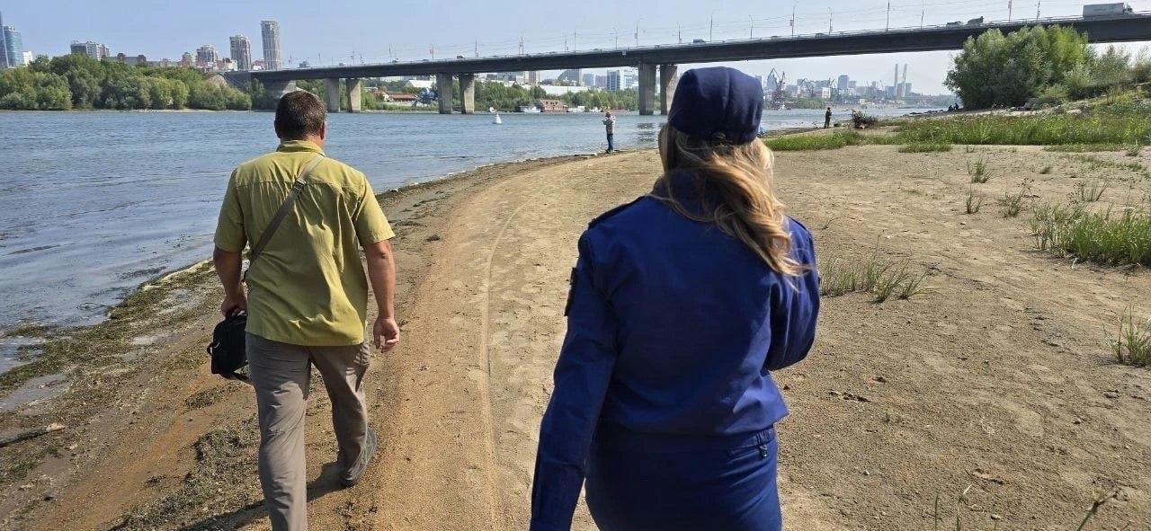 В Новосибирске выясняют причины мора рыбы у Димитровского моста Массовая...
