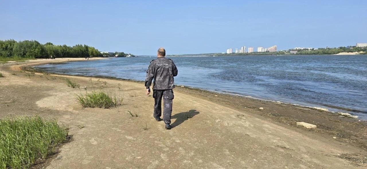 В Новосибирске выясняют причины мора рыбы у Димитровского моста Массовая...