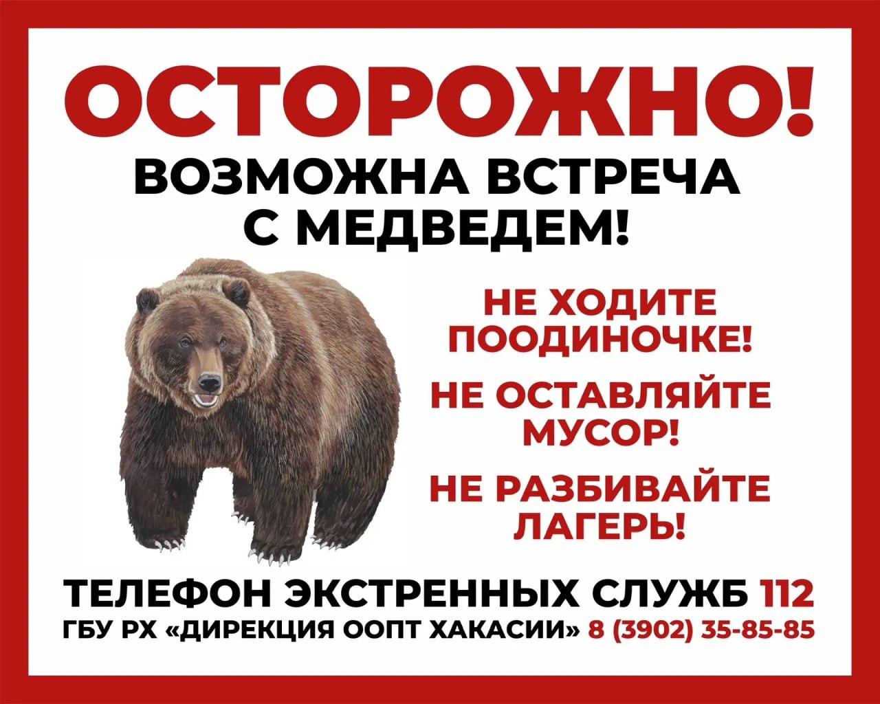 Из-за медведей жителей и гостей Хакасии просят не посещать природные парки...