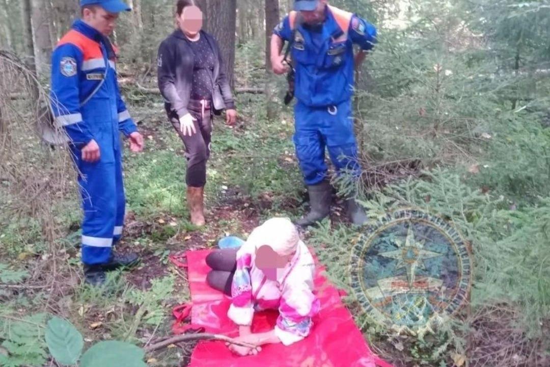 Спасатели вынесли из леса пенсионерку, которую искусали пчелы. - В лесном...