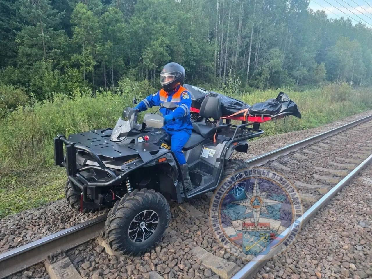 Поезд сбил насмерть двух человек под Тосно