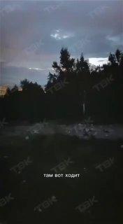 Красноярец встретил медведя на Торгашинском хребте. Хищника заметили недалеко...