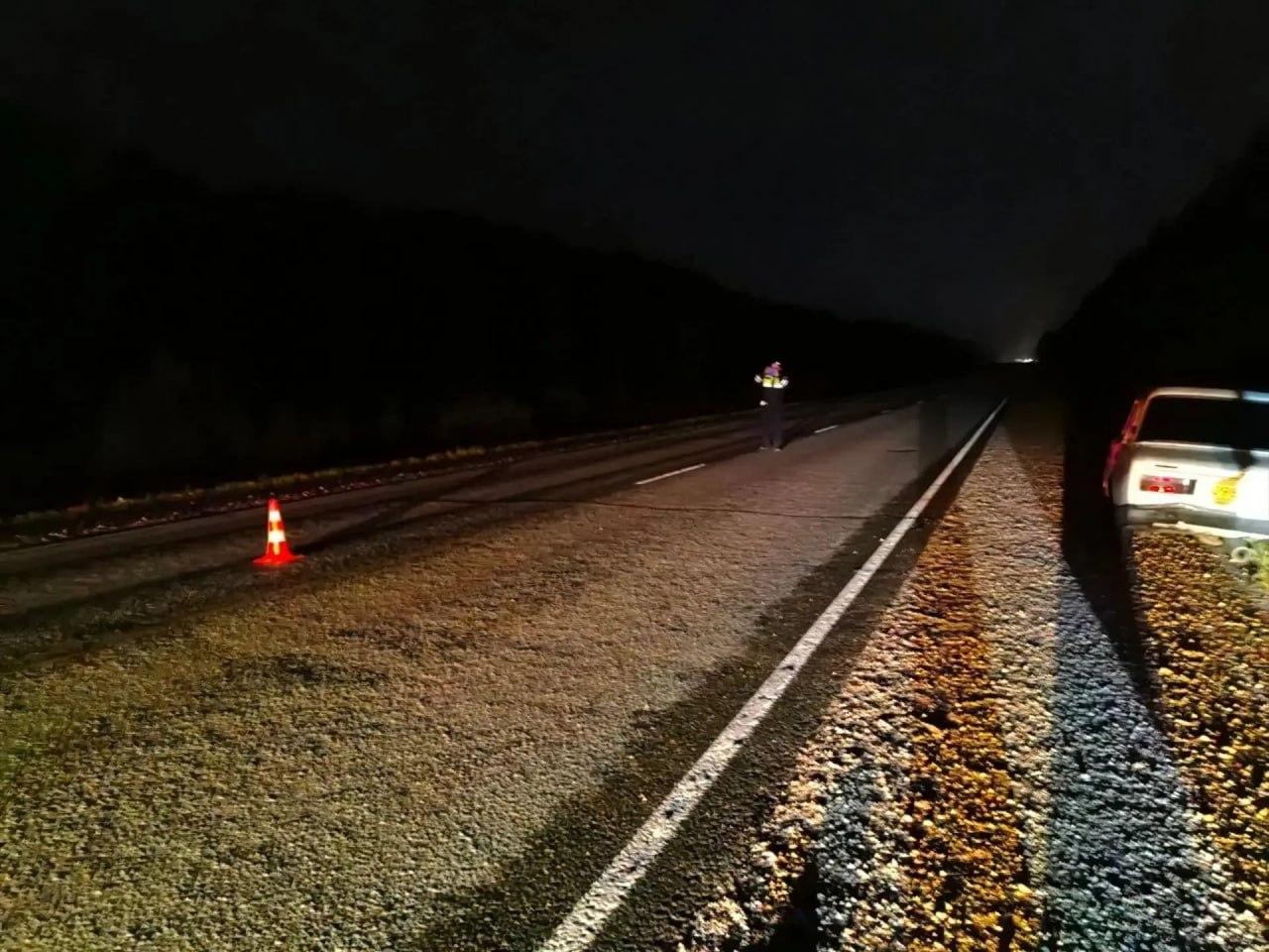 На Чуйском тракте погиб пешеход 30 августа около 2:25 на автодороге Р-256...
