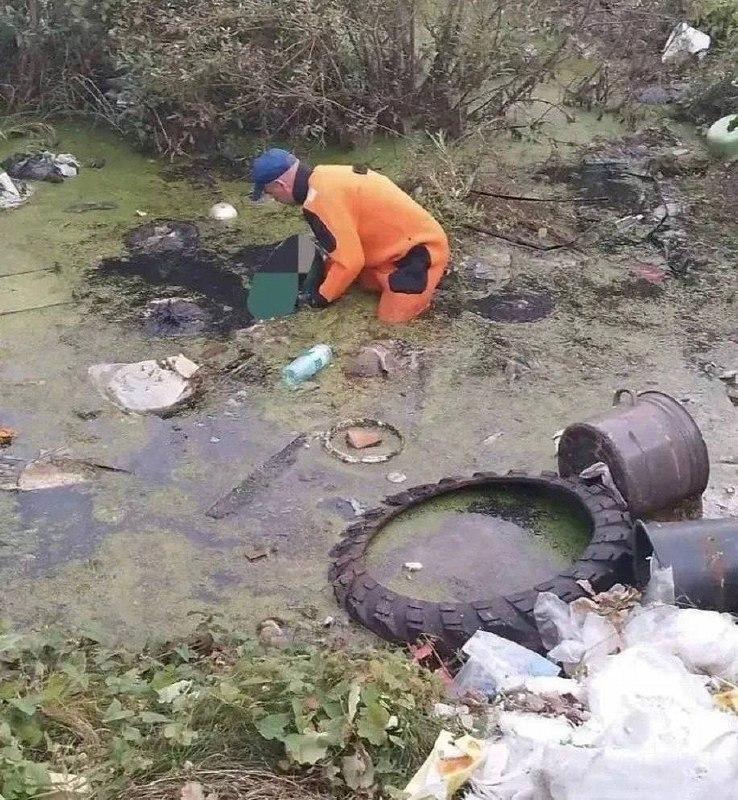Двухлетнего сына режиссёра нашли мёртвым в пруду в Ленобласти