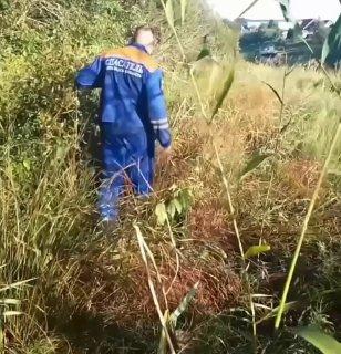 Двухлетнего сына режиссёра нашли мёртвым в пруду в Ленобласти