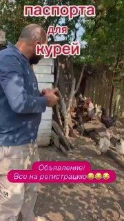 Кур понесли в МФЦ из-за обязательного учёта домашней птицы. С 1 сентября...