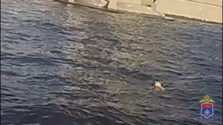 Невеста прыгнула с теплохода в Питере, пытаясь спасти тонущего гостя свадьбы.