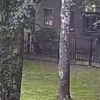 Телефонные мошенники превратили петербуржца в 