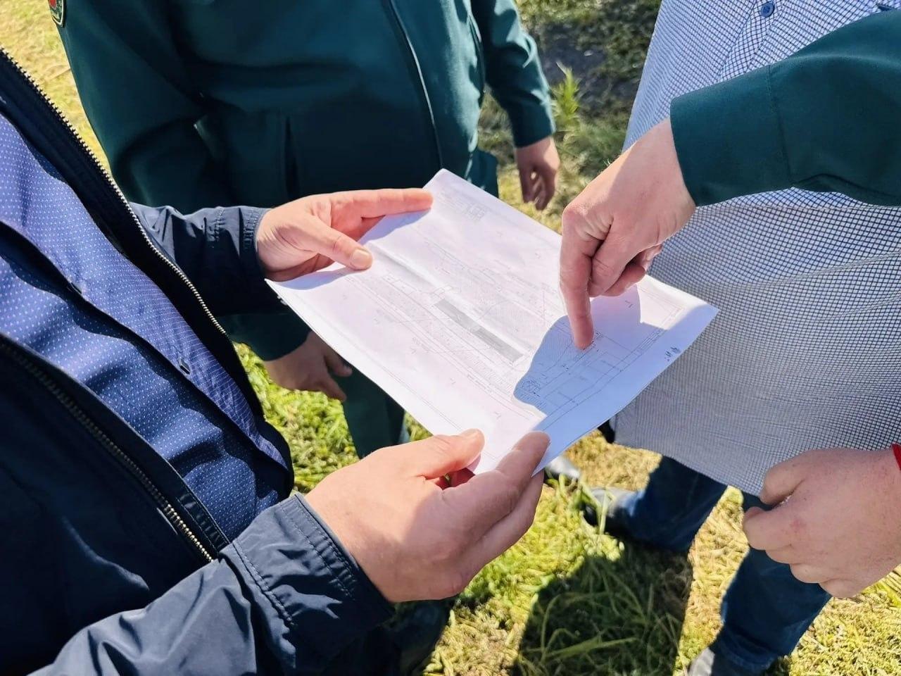 Первый в Хакасии тепличный комплекс хвойных сеянцев появится в Чапаево Работы...