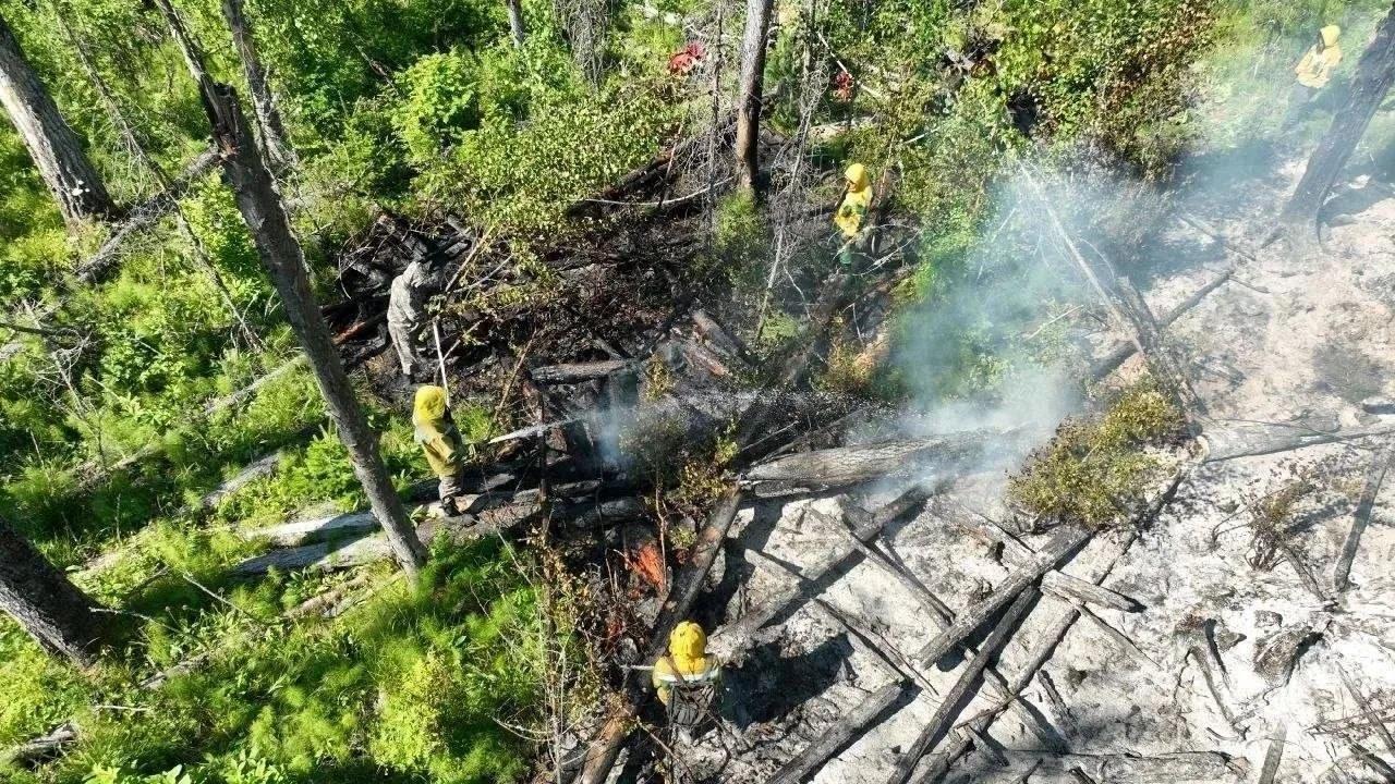 Максимума за сезон достигла площадь лесных пожаров в крае Горит уже больше...