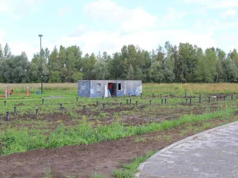 Сосны и смородина: на благоустройство набережной в Ачинске потратят ещё 19...