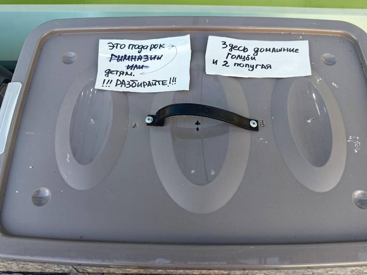 Попугаев и голубей в пакетах подбросили к петербургскому ТЦ. Почти все...