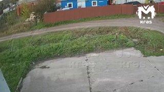 Разъярённый сосед раздавил чужую хаски о бетонный забор и добил камнем в...