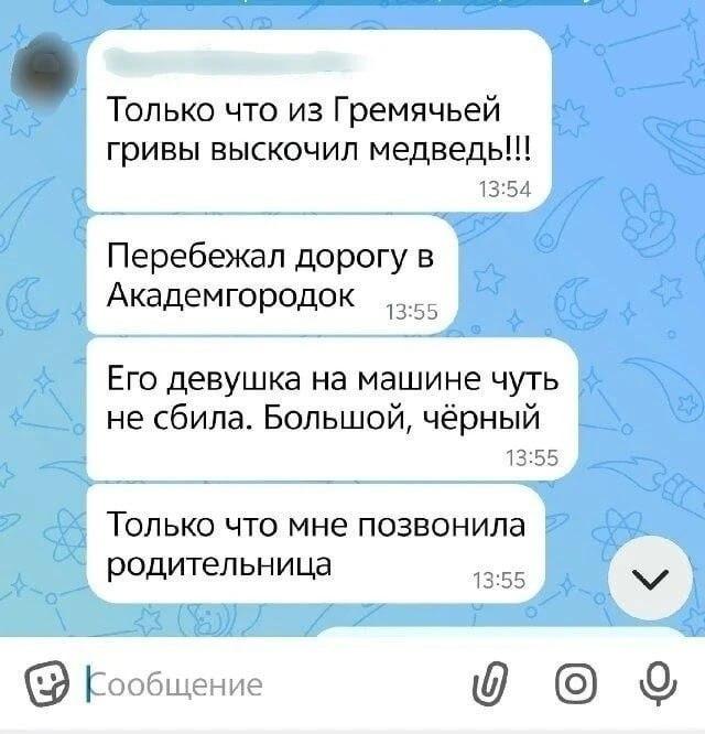 В Октябрьском районе Красноярска медведь выбежал из Гремячей Гривы в сторону Академгородка