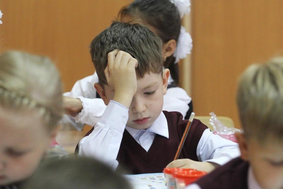 Первоклассников в Петербурге стало меньше на 7% за год
