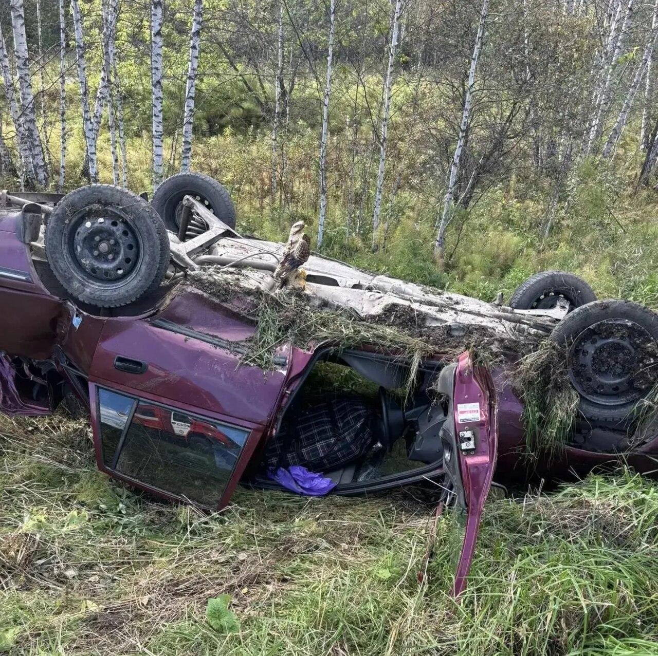 Автомобиль съехал с дороги на трассе Р-255: водитель госпитализирован На...