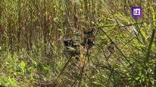 Кадры боевой работы за Благодатное, Должанку и Василевку в Харьковской...