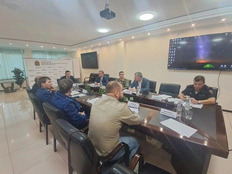 В Красноярском крае с начала года застрелили более 180 медведей,...