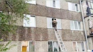 Криминального авторитета Владимира Татаренкова задержали — он давал основные...