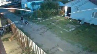 Живодёр натравил бойцовских псов на дворнягу и зарубил её мачете под Краснодаром