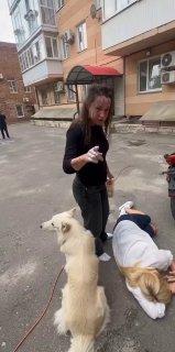 Многодетную мать соседи жёстко избили до сотрясения из-за парковочного места...