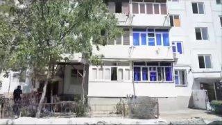 Житель Узбекистана держал акулу в бассейне в подвале жилого дома