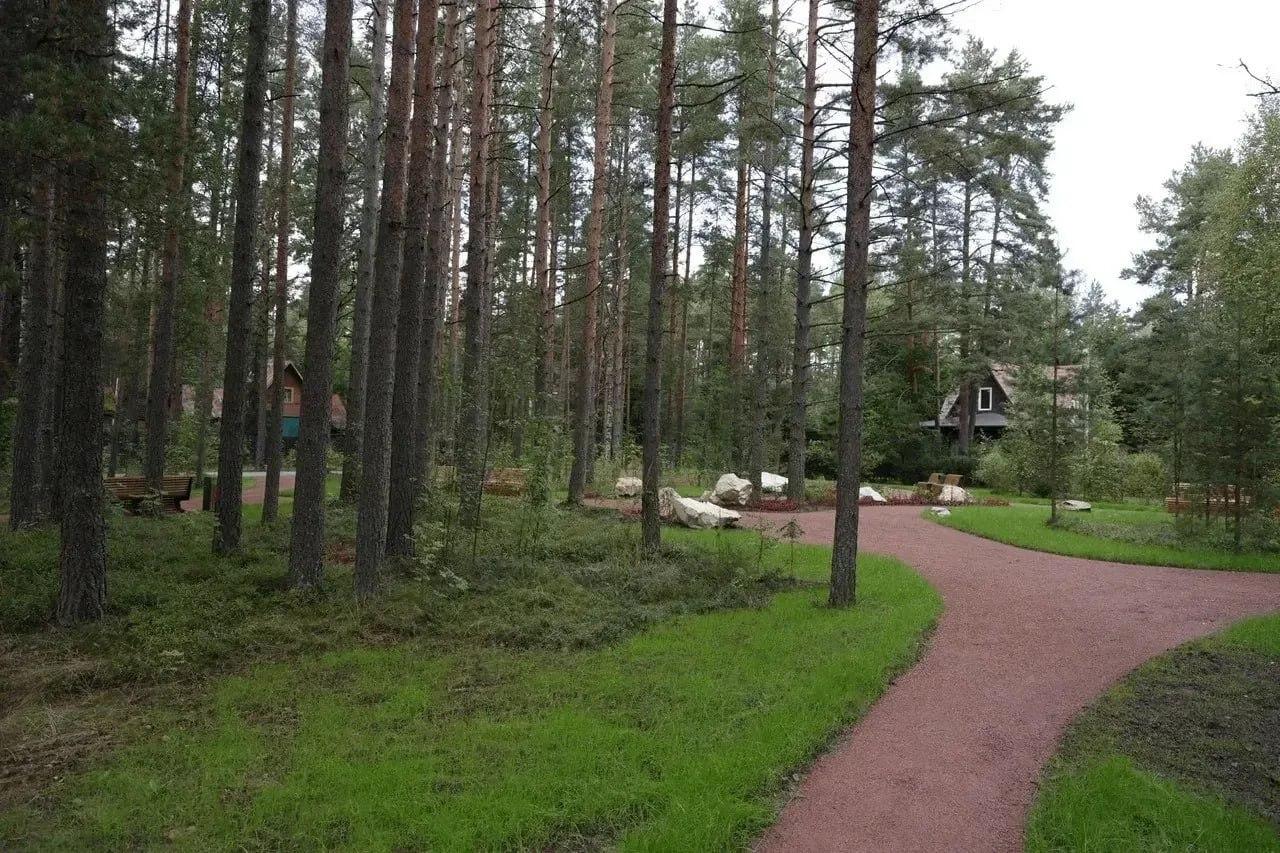 В Комарово открыли обновлённый сквер у Привокзальной площади. Природный...