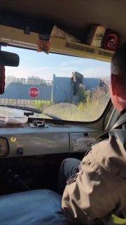 Медведь-паркурщик лихо перелез на территорию локомотивного депо в Иркутской...