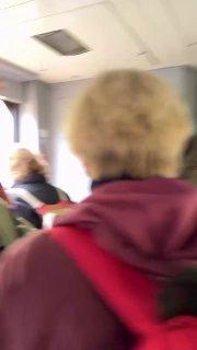 Толпы петербуржцев начали ездить за грибами в Ленобласть.