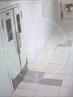 Медведь устроил прогулку по отелям и коттеджам Красной Поляны в Сочи