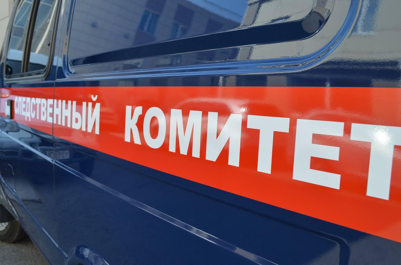 В Хакасия женщина подозревается в вовлечении сына в опасные действия
