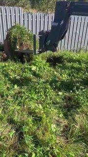 В Истре лосенок провалился в открытый колодец и самостоятельно выбраться не...