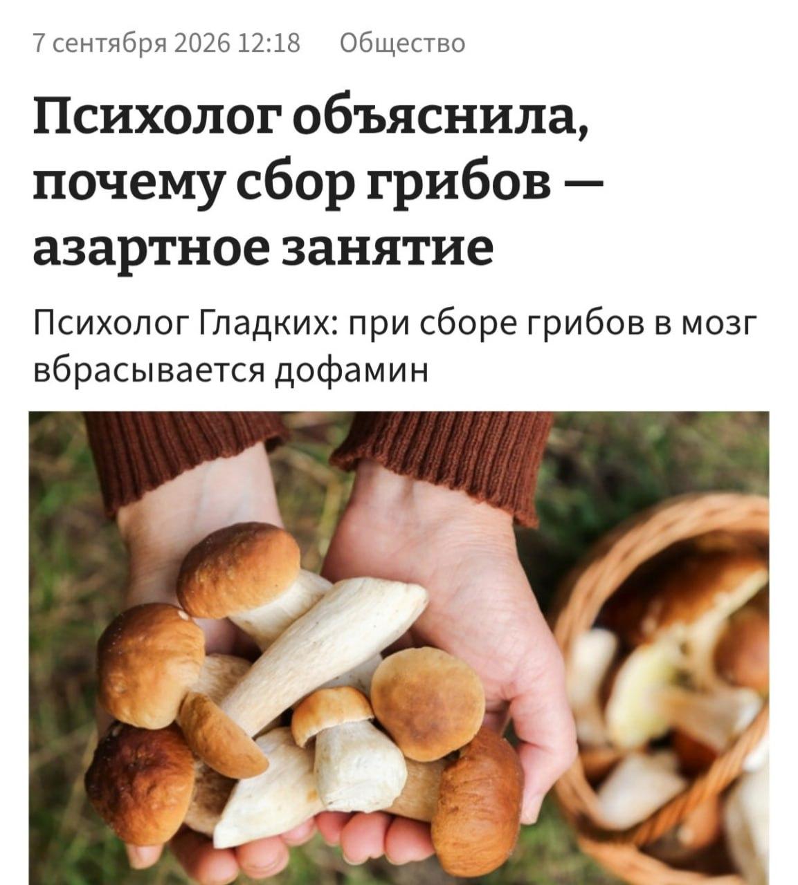 Грибники — латентные лудоманы, заявили психологи.