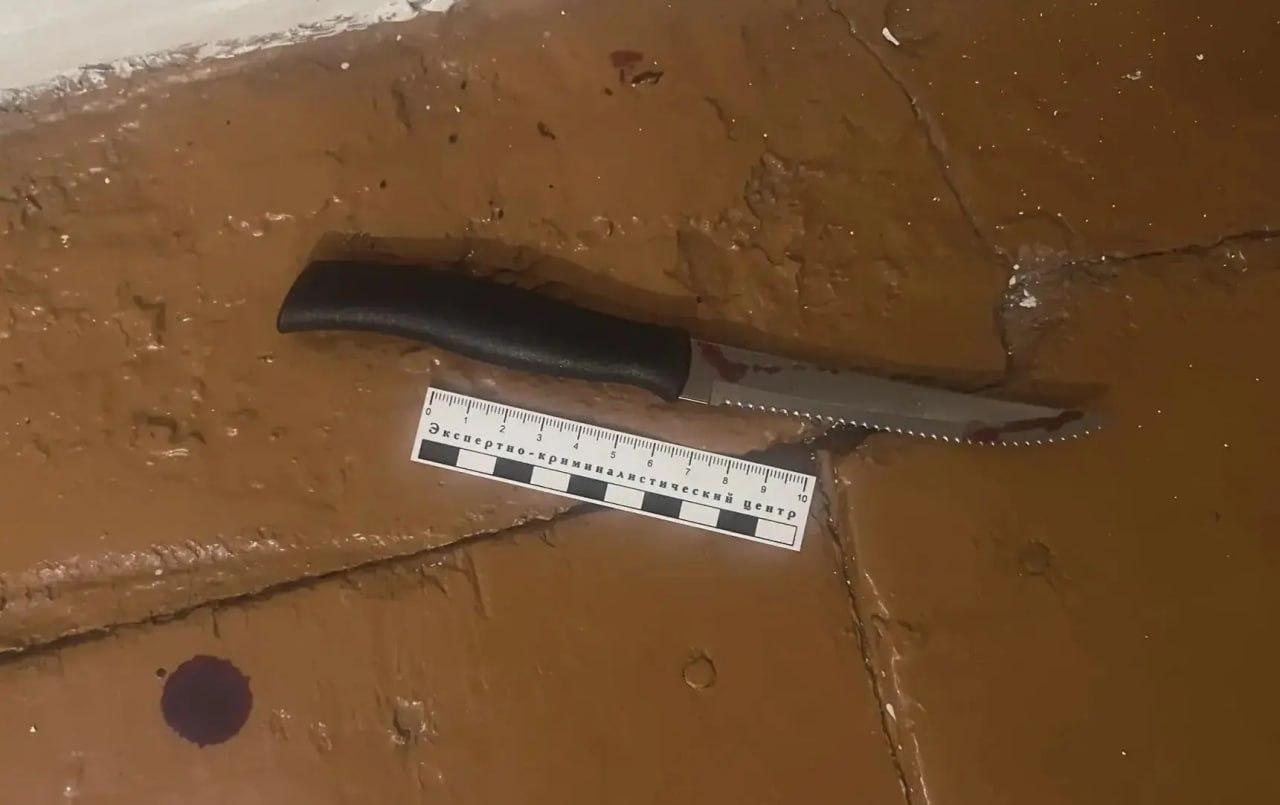 Жителю Овюрского района предъявлено обвинение в убийстве: 27-летний житель...