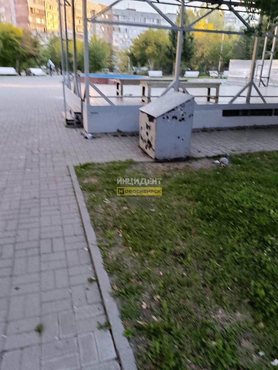 Массовое отравление голубей обнаружено в Калининском районе 8 сентября 2026...