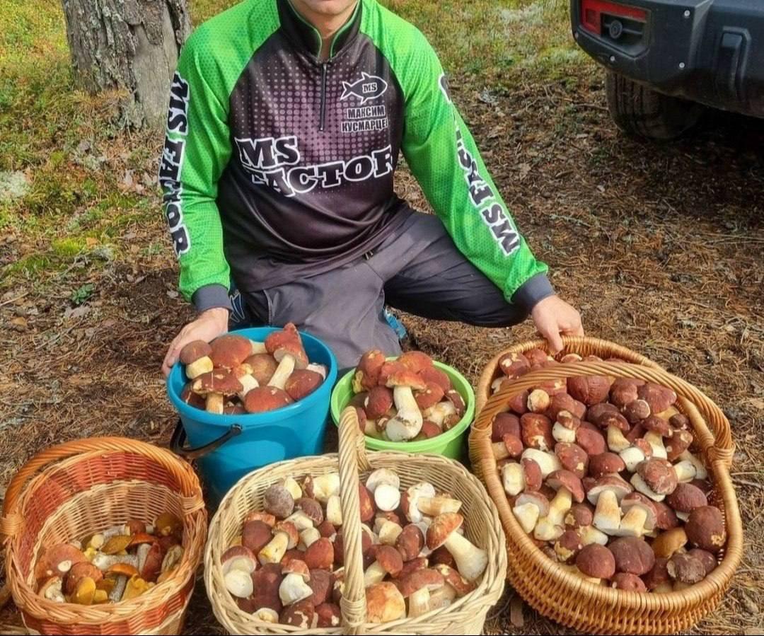 Жители Питера и Ленобласти делятся кадрами внушительного грибного улова.