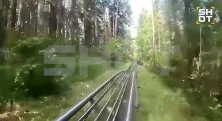 «Медведь, Андрей! Едь быстрее! Пошёл н***й!» Мишка вышел прямо к аттракциону...