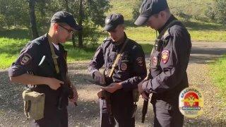 Медведя ищут на острове Татышев