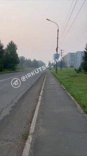 Медведя заметили в Усть-Илимске.