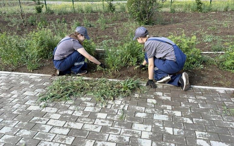 1 137 школьников работали в Хакасии минувшим летом.