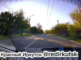 Стая собак напала на девушку в микрорайоне Юбилейный. Девушка просто шла, они...