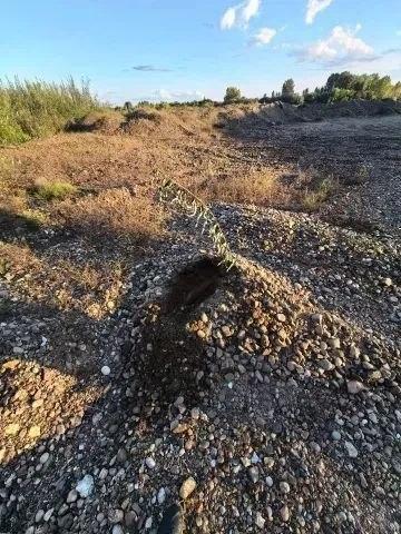 В Канске на берегу реки обнаружены боевые мины Группа разминирования отряда...