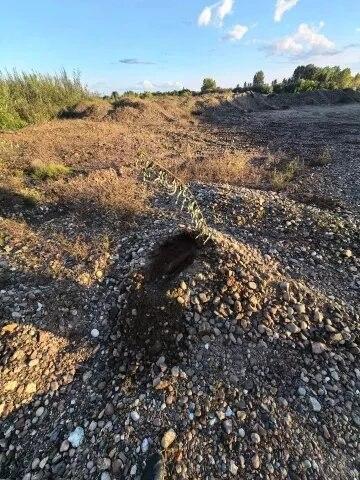 В Канске на берегу реки обнаружили боевые миномётные мины На берегу реки Кан...