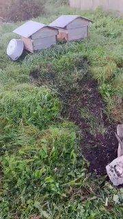 Медведь разорил пасеку недалеко от Шахты «Большевик». Хищник разворошил ульи...