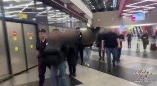 Трое иностранцев обокрали пассажиров прямо во время ночного рейса из Абу-Даби...