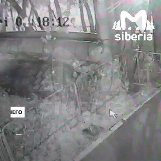 Дорожники лопатами избили парня в Новосибирске — ему может потребоваться...